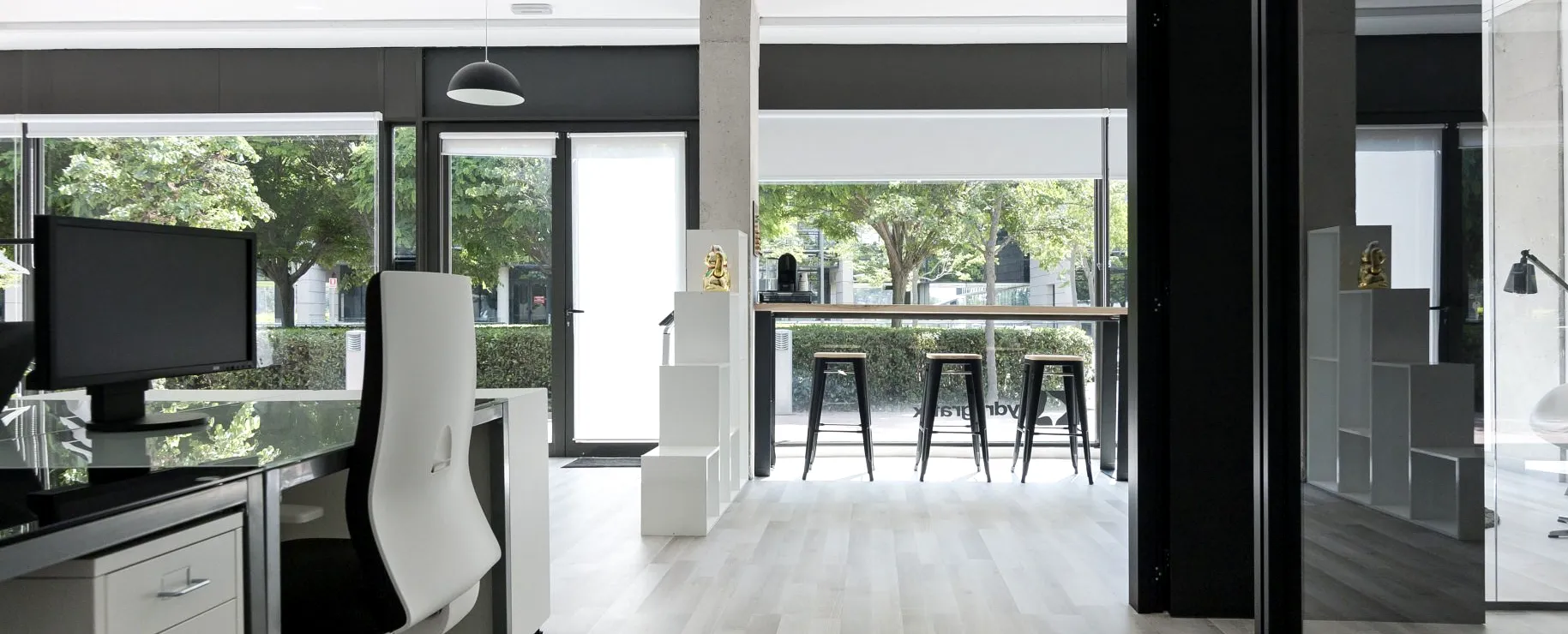 Estudio Hydragrafix 6